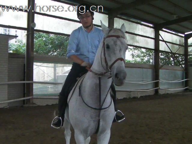 Horseback riding in the weekend