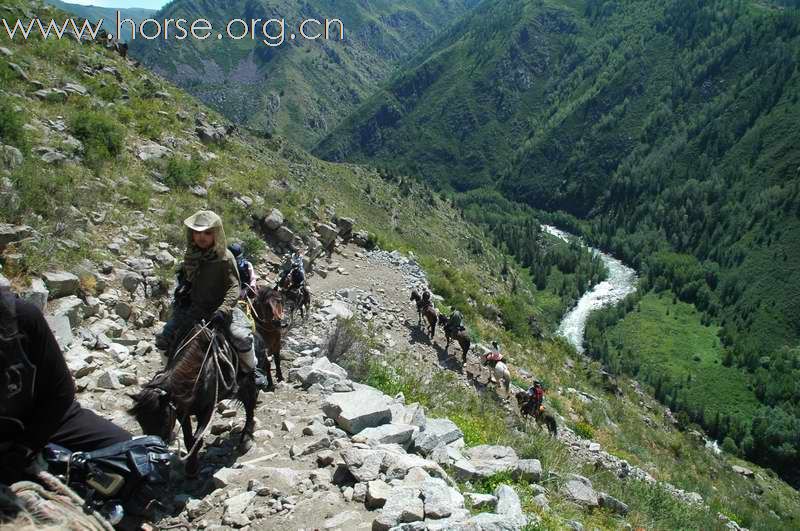 2010新疆喀纳斯骑马探险团招募中