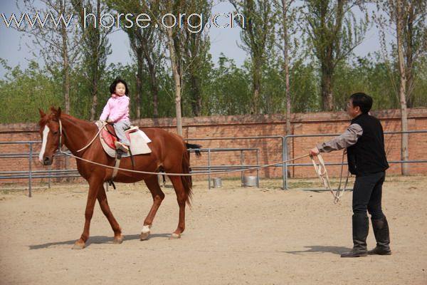 多大孩子开始学习骑马比较合适