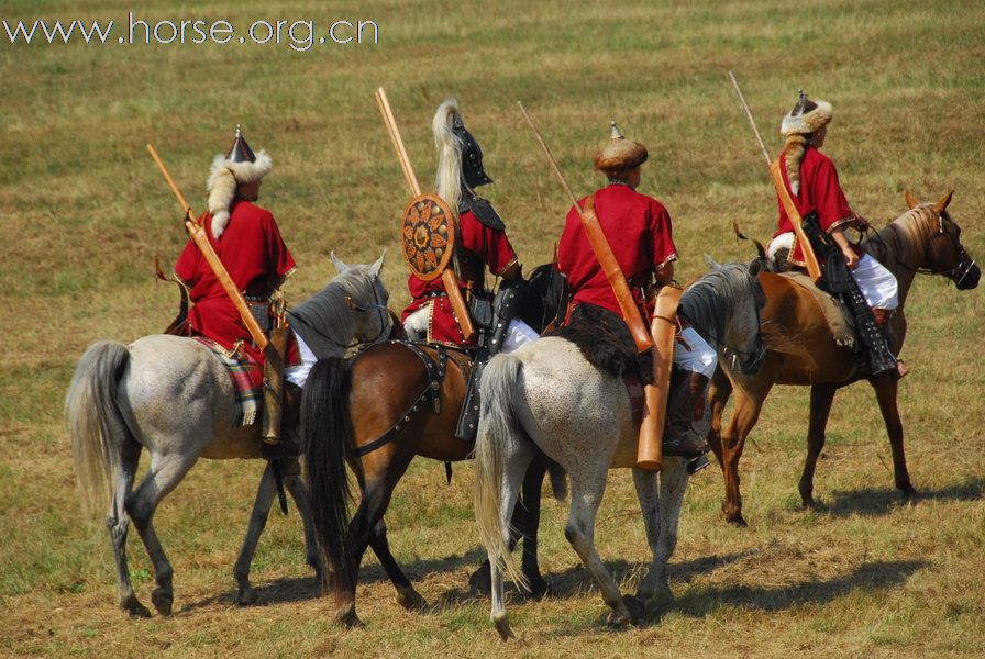 超值的匈牙利马术文化游--骑射大会、自然驯马法、驾马车