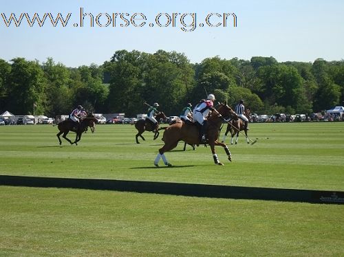 2010英国马球公开赛 发片速度首次超过官网