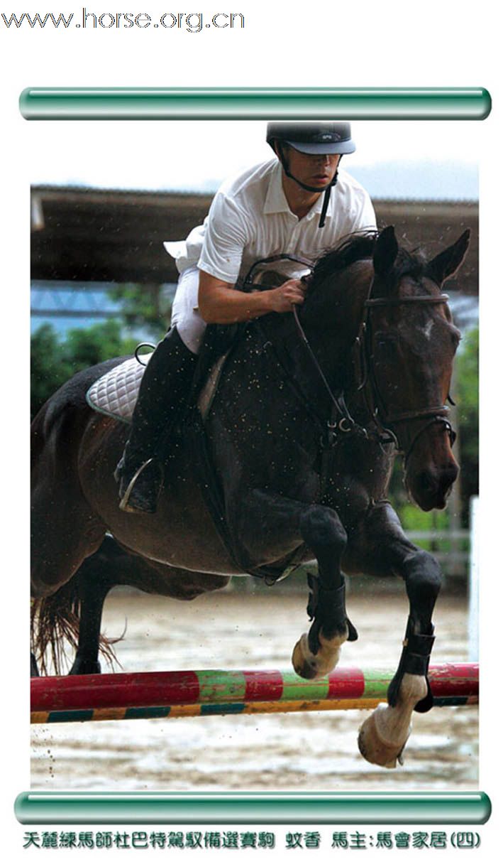 晓光手记:2010“伊玛特马具杯”天麓骑术场地障碍赛