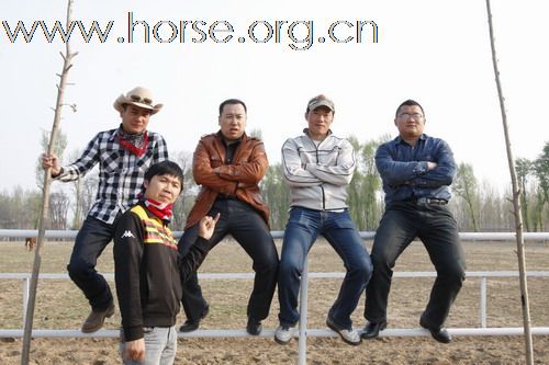 “以马为盟”群招募喜欢野外骑马的朋友加入。