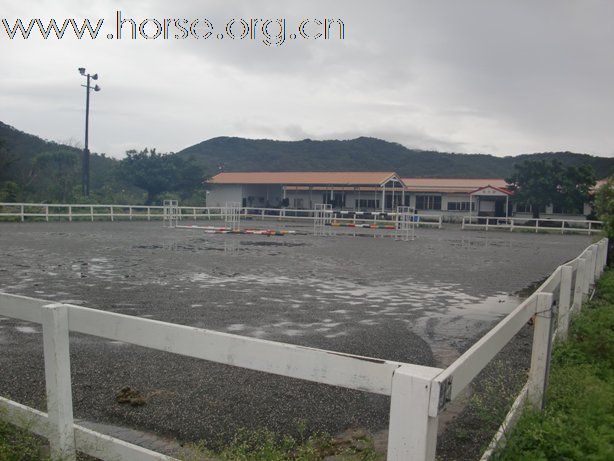 香港美女悠客，在台灣悠客馬場騎馬