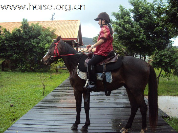 香港美女悠客，在台灣悠客馬場騎馬