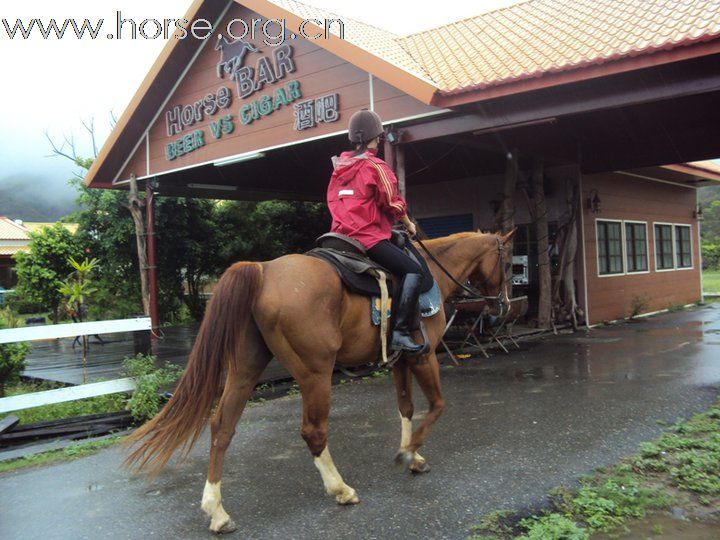 香港美女悠客，在台灣悠客馬場騎馬