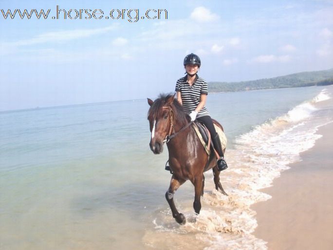 香港美女悠客，在台灣悠客馬場騎馬