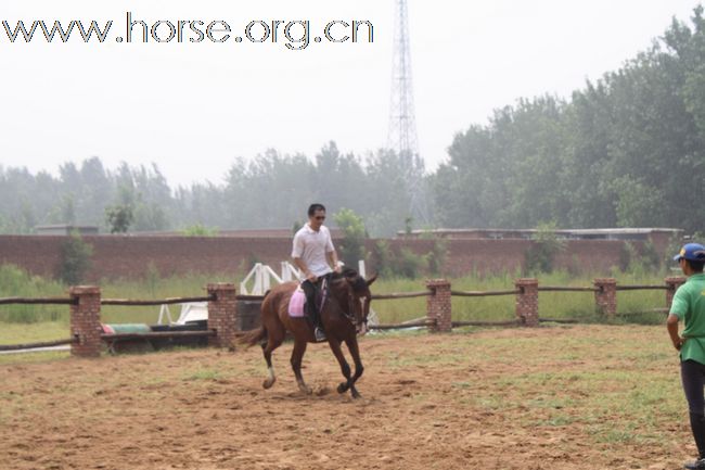 匈牙利vicdor老师中国首次马术集训班结业汇报