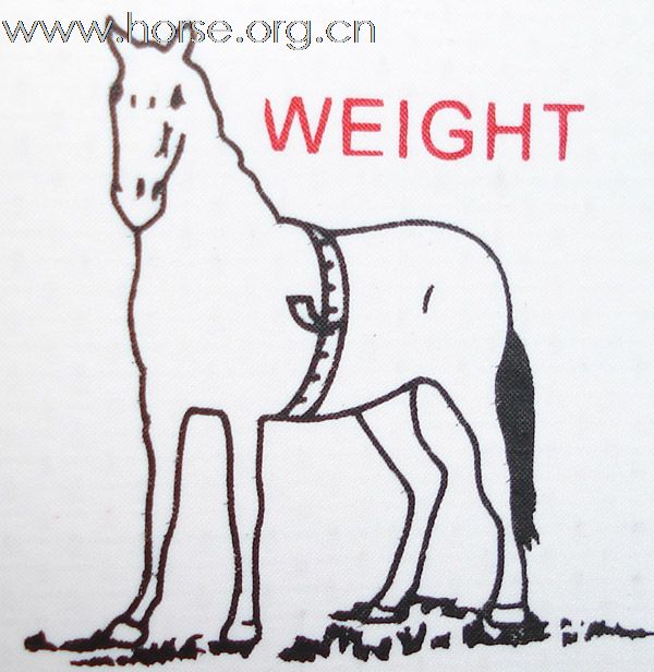 马体重测量软尺
