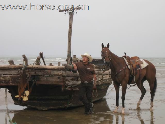 “中铁.青岛中心”杯2010年青岛全国沙滩马术绕桶及耐力赛圆满结束