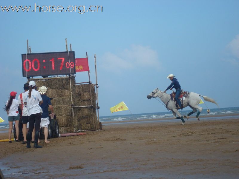 “中铁.青岛中心”杯2010年青岛全国沙滩马术绕桶及耐力赛圆满结束