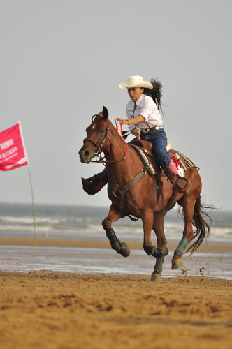 “中铁.青岛中心”杯2010年青岛全国沙滩马术绕桶及耐力赛圆满结束