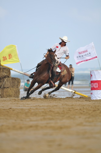 “中铁.青岛中心”杯2010年青岛全国沙滩马术绕桶及耐力赛圆满结束