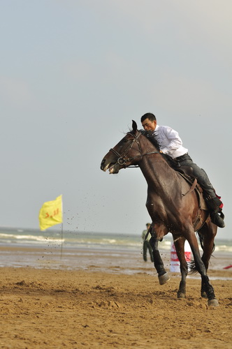 “中铁.青岛中心”杯2010年青岛全国沙滩马术绕桶及耐力赛圆满结束