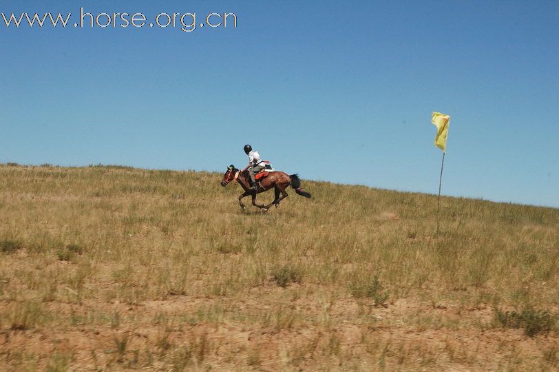 2010锡林郭勒国际马术耐力赛—激烈的赛道