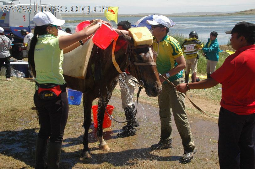 2010锡林郭勒国际马术耐力赛—激烈的赛道