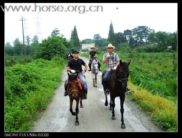 周日骑马出游~！