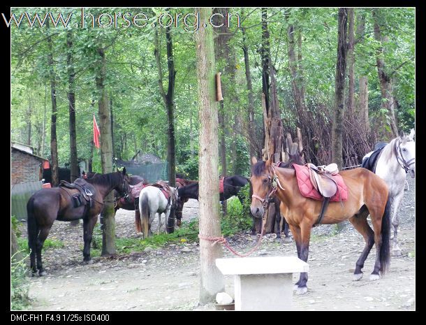 周日骑马出游~！