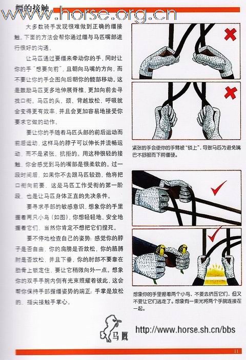 [分享]改进骑手的姿势