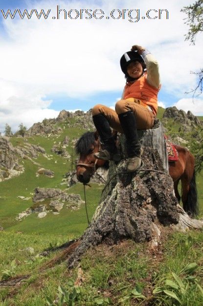 Dramatic horse rescue near West Montrose