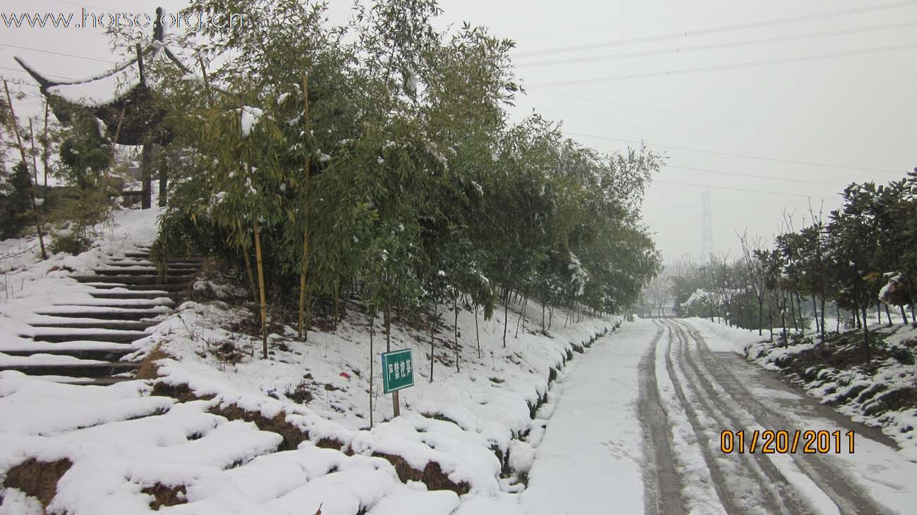 2011年马场第一场雪