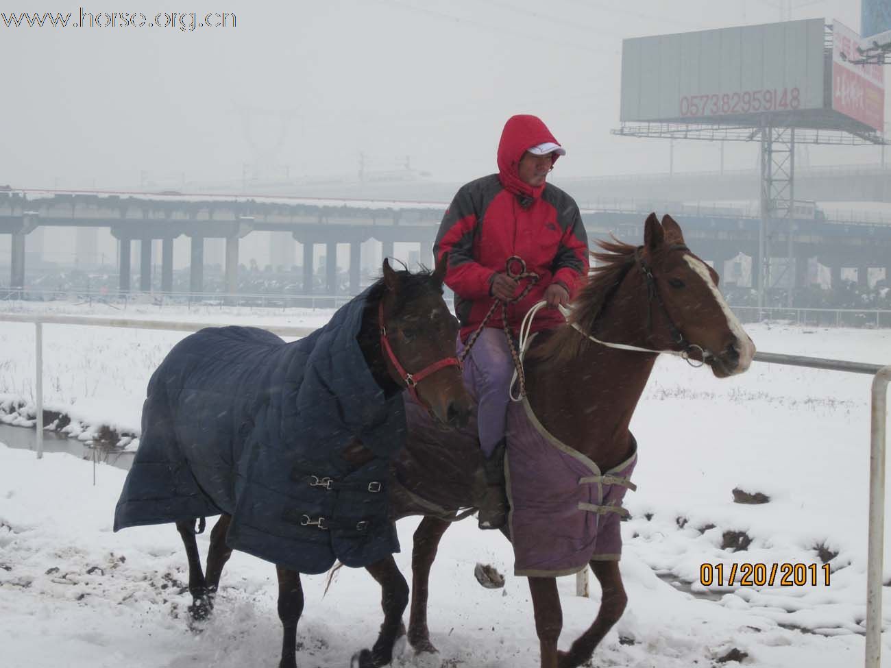 2011年马场第一场雪