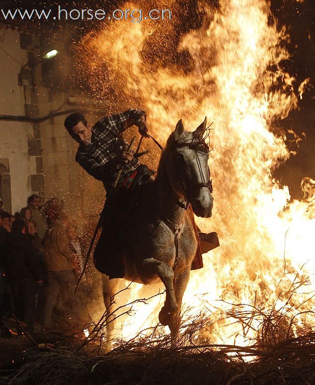 骑马穿火焰庆祝动物保护神
