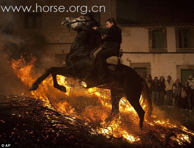 骑马穿火焰庆祝动物保护神的传统节日
