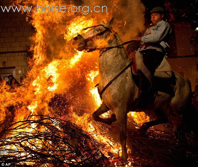 骑马穿火焰庆祝动物保护神的传统节日
