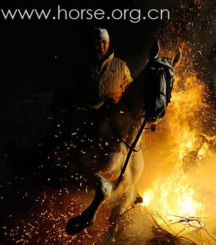 骑马穿火焰，这是为哪般？