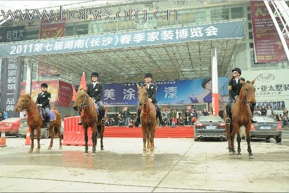 长沙家居博览会湘军骑兵团商演24-27号部分照片