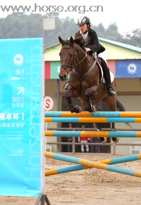 晓光手记:四海标卓杯马术障碍赛首日赛事快讯