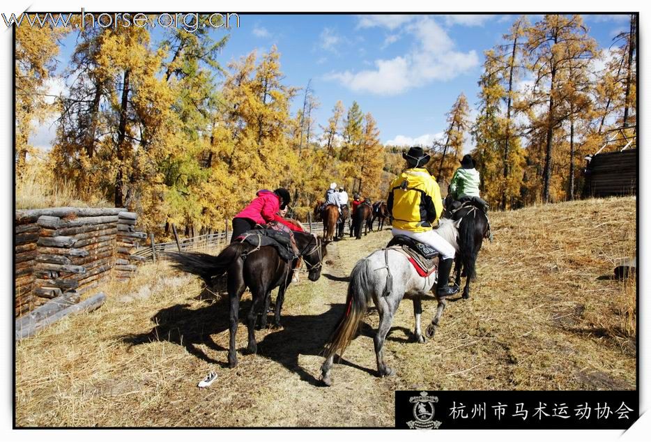 [贴图]发几张幸存的有马的照片