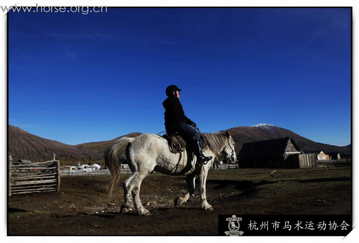 [贴图]发几张幸存的有马的照片