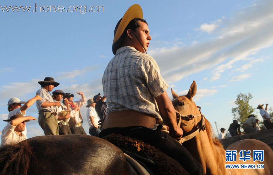乌拉圭高乔牛仔联欢节:马背上的较量