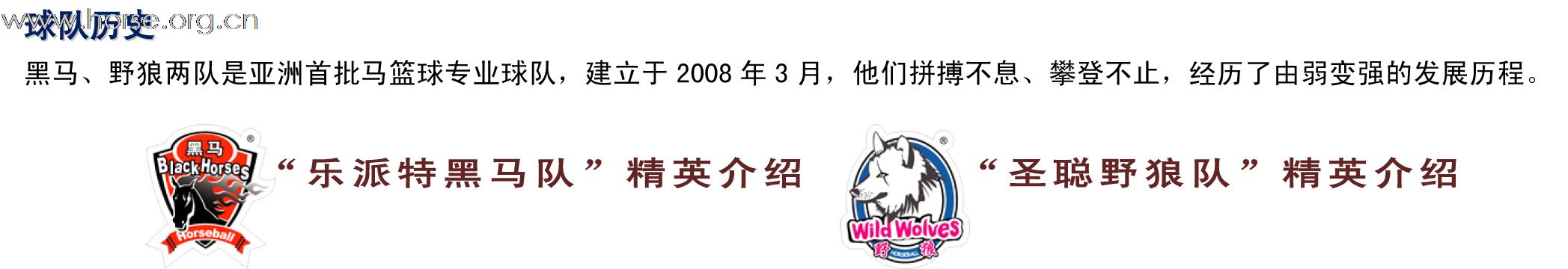 马篮球 “圣聪杯” - 上海乐派特站  2011.04.23