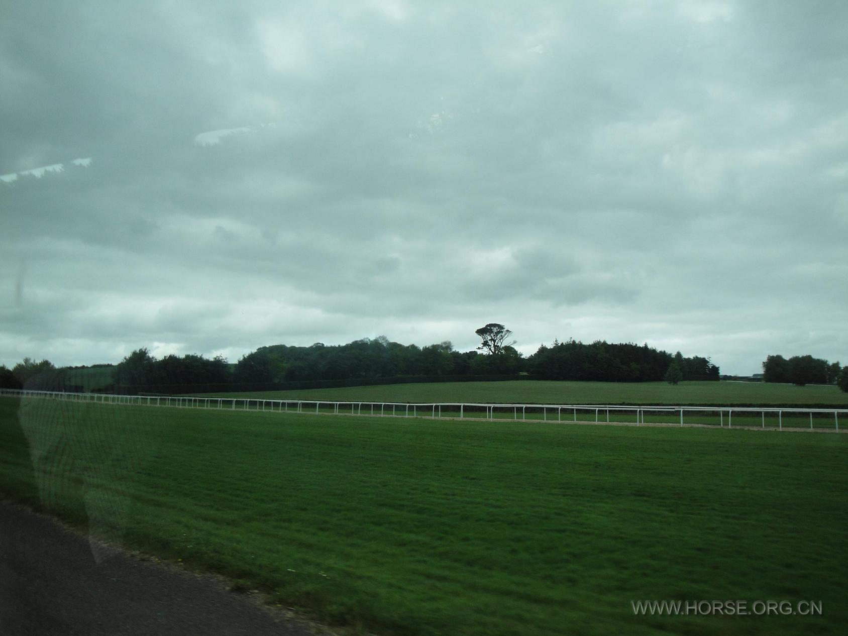 COOLMORE成功的背后有多少人在从不同角度帮助马匹，细节决定成败.JPG