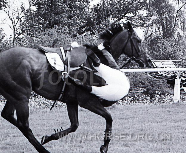 22630-princess-anne-falling-off-horse-at-towcester-races.jpg