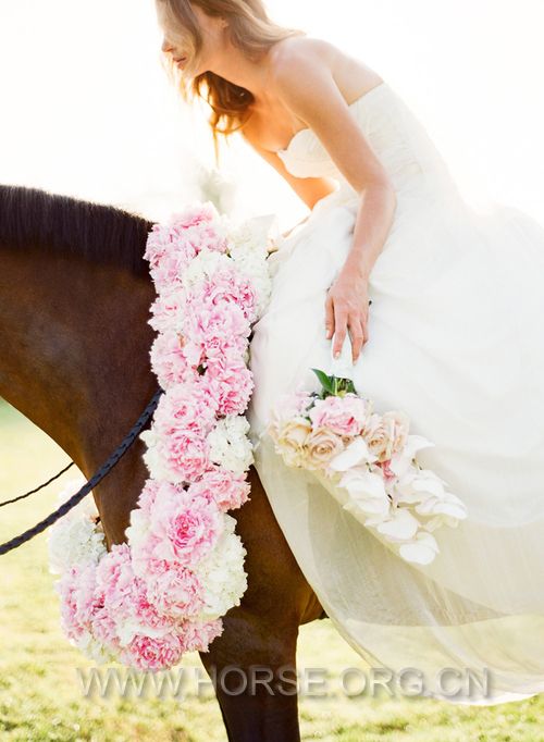 bride-and-horse_large.jpg