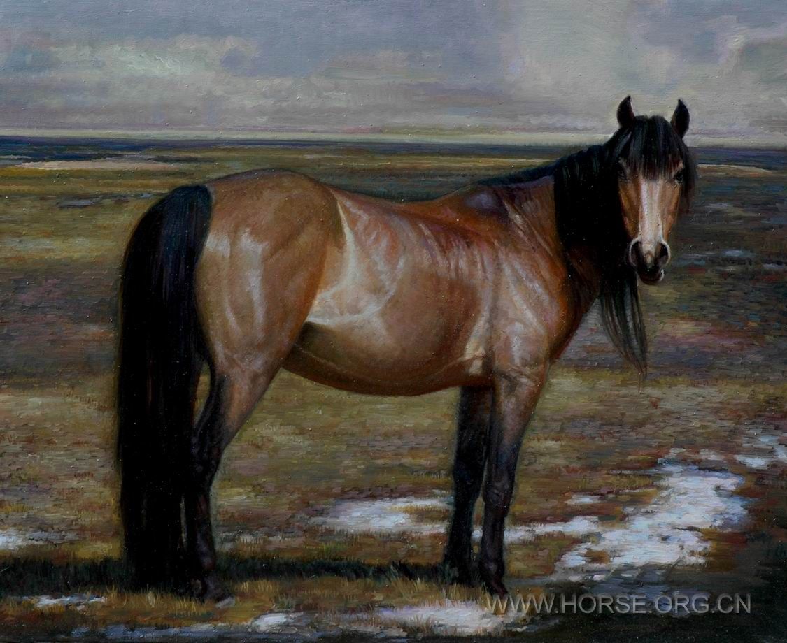 油画《意象中的马NO1》100X80CM。2010。11。DSC_6583.JPG