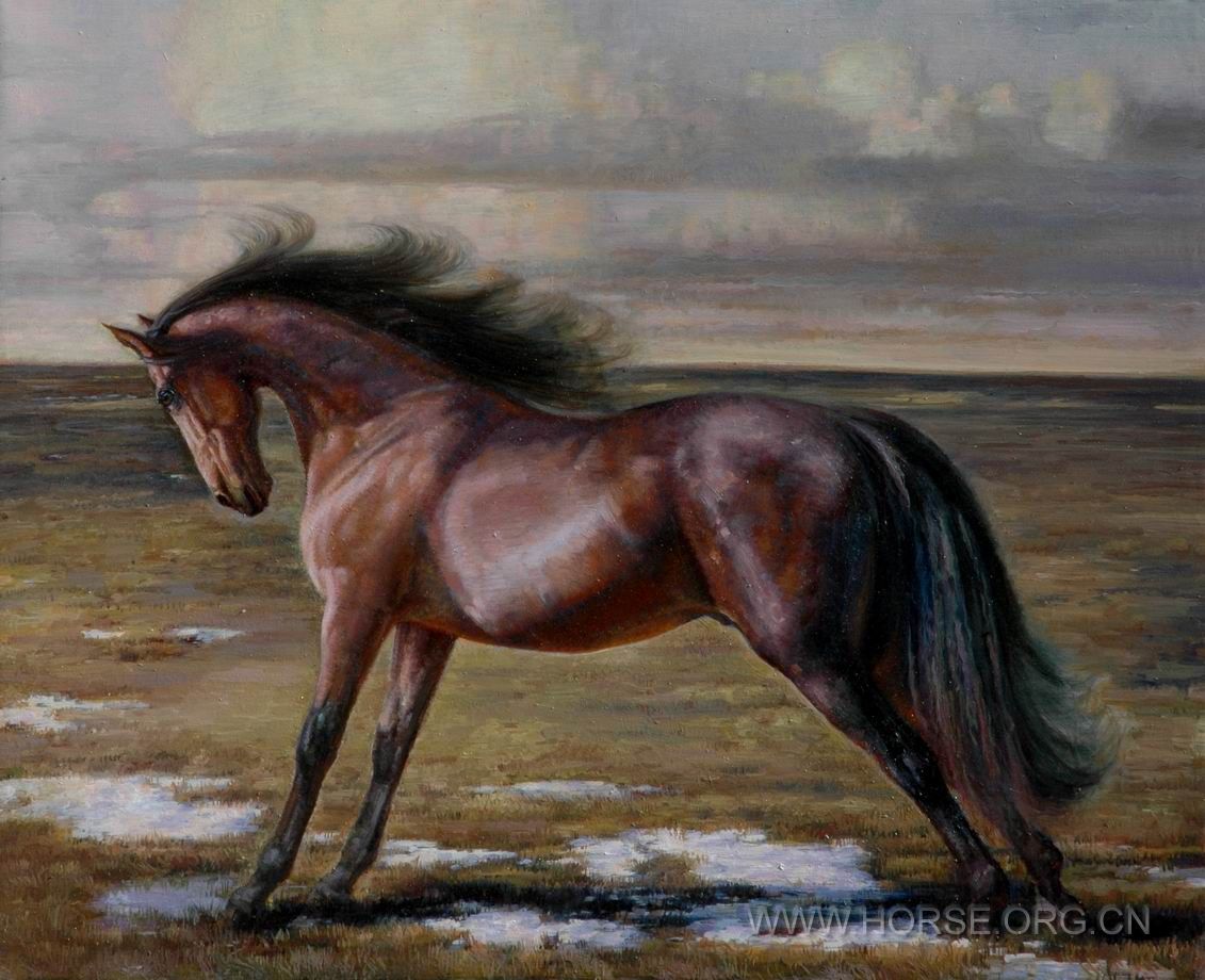 油画《意象中的马NO6》100X80CM。2010。11。DSC_6588.JPG