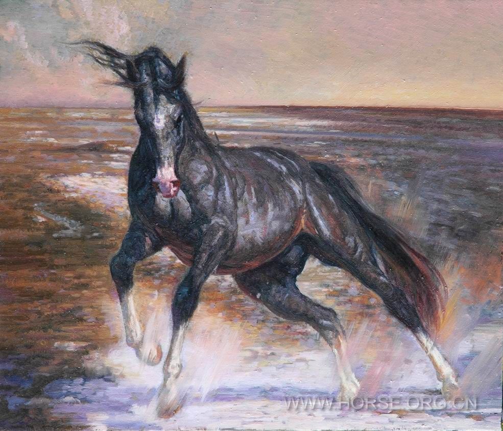 油画《意象中的马NO14》54X46CM。2011。02.04。DSC_6889.JPG