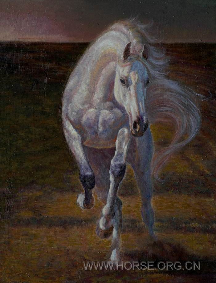 油画《意象中的马NO15》53X41CM。2011。02.04。DSC_6921.JPG