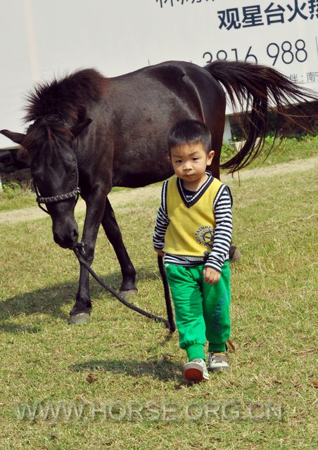 第一节课：牵马，成功！--2岁半未来小骑士亮亮