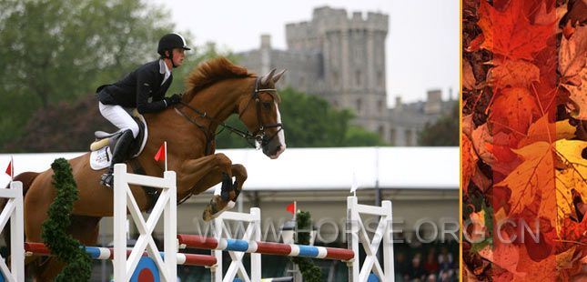 royal_windsor_horse_show.jpg