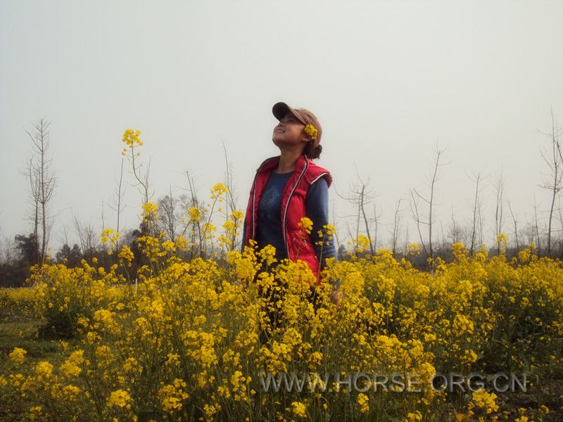 还是菜花