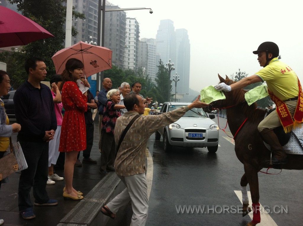 从中国马友联盟总部寄来的骑马出行传单一张一张传递到市民手里，发传单的就是远方战骑 ... ... ... ... ... ...
