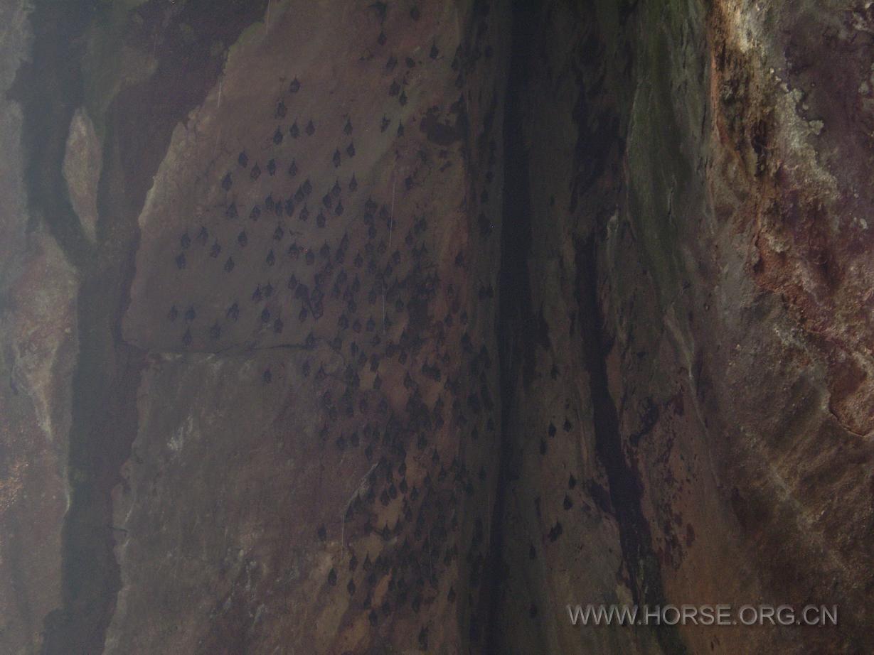 千百万年形成的蝙蝠岩