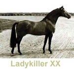 Ladykiller_XX.jpg