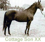 Cottage_Son_XX.jpg